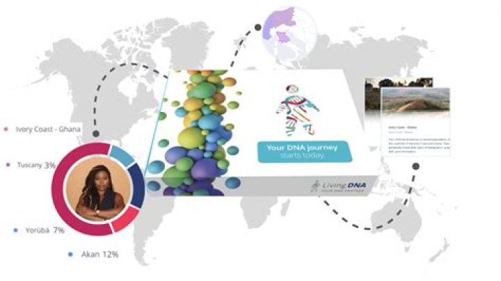 A Journey Of Ancestry And Identity