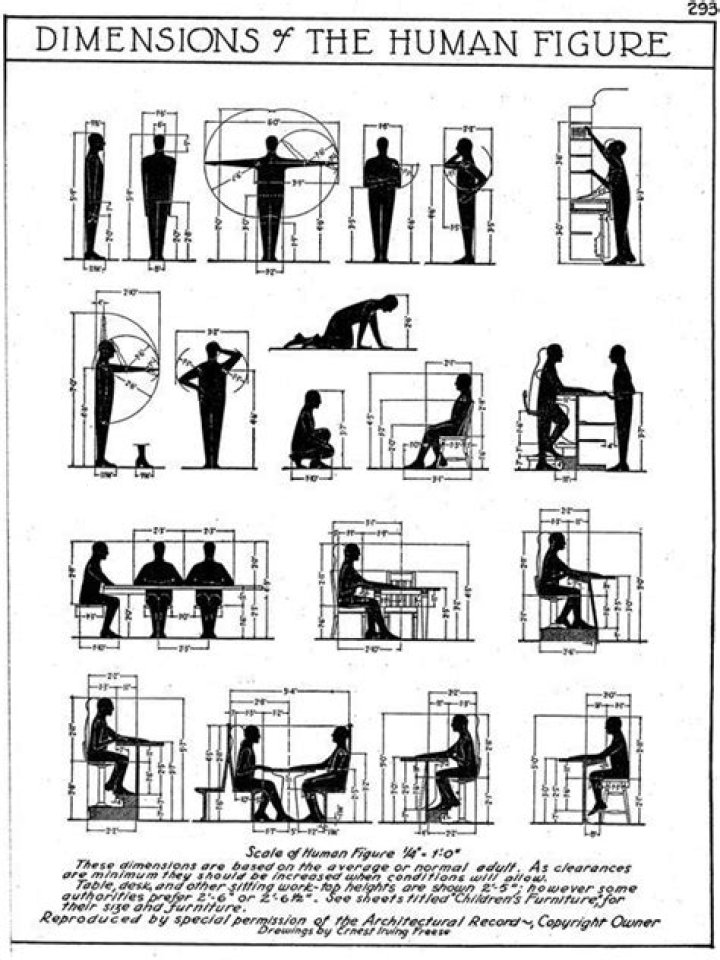 Unlocking Human Dimensions For Optimal Design